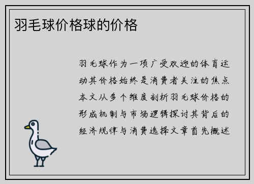 羽毛球价格球的价格